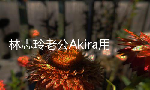 年 用中文拜宝近林志玲老公A小宝况分享
